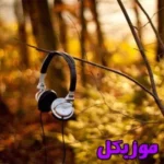 دانلود آهنگ مونده توی دلش درد هر کی رسید زخمو زد و ولش کرد صدای زن گیتار لنا